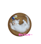 チップの変顔スタンプ（個別スタンプ：1）