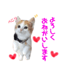 ♡りっくん＆りん♡（個別スタンプ：3）