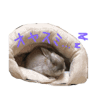モカちゃんズ（個別スタンプ：2）