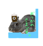 モカちゃんズ（個別スタンプ：3）