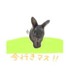 モカちゃんズ（個別スタンプ：10）