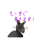 モカちゃんズ（個別スタンプ：11）