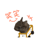 モカちゃんズ（個別スタンプ：13）