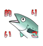 ほっこり海釣りスタンプ（個別スタンプ：1）