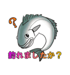 ほっこり海釣りスタンプ（個別スタンプ：19）