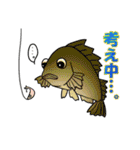 ほっこり海釣りスタンプ（個別スタンプ：21）