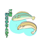 ほっこり海釣りスタンプ（個別スタンプ：24）