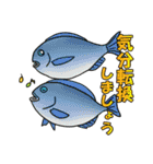 ほっこり海釣りスタンプ（個別スタンプ：30）