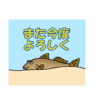 ほっこり海釣りスタンプ（個別スタンプ：31）