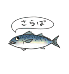 ほっこり海釣りスタンプ（個別スタンプ：33）