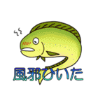 ほっこり海釣りスタンプ（個別スタンプ：36）
