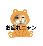 シロチャンマン♡（個別スタンプ：3）