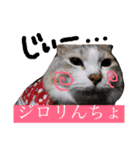 シロチャンマン♡（個別スタンプ：13）