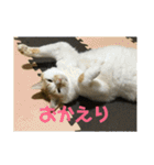 金銀フレンズ（個別スタンプ：33）