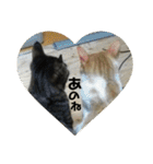 金銀フレンズ（個別スタンプ：39）