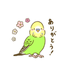 すこやかインコ 3（個別スタンプ：5）