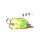 すこやかインコ 3（個別スタンプ：15）