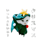ほたる'sスタンプ（帽子）（個別スタンプ：3）