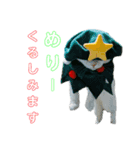 ほたる'sスタンプ（帽子）（個別スタンプ：4）