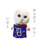 ほたる'sスタンプ（帽子）（個別スタンプ：5）