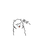私はあるぱかです。（個別スタンプ：18）