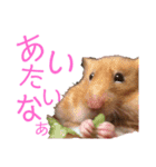 DEBUちゃん（個別スタンプ：5）