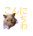 DEBUちゃん（個別スタンプ：6）
