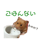 DEBUちゃん（個別スタンプ：7）