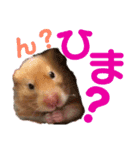 DEBUちゃん（個別スタンプ：8）