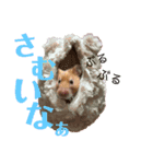 DEBUちゃん（個別スタンプ：9）