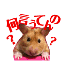 DEBUちゃん（個別スタンプ：10）