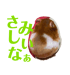 DEBUちゃん（個別スタンプ：11）