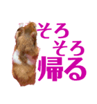 DEBUちゃん（個別スタンプ：12）