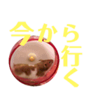 DEBUちゃん（個別スタンプ：14）