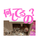 DEBUちゃん（個別スタンプ：15）
