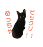 仲良し男4兄弟（個別スタンプ：11）