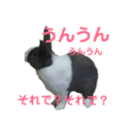 うさぎのもんちゃん＆チョッチョ 平和な生活（個別スタンプ：1）