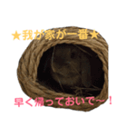 うさぎのもんちゃん＆チョッチョ 平和な生活（個別スタンプ：4）