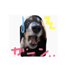 チップくん大好き（個別スタンプ：3）