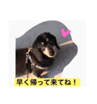 チップくん大好き（個別スタンプ：7）