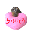 ベリーとチップの物語2（個別スタンプ：2）