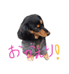 ベリーとチップの物語2（個別スタンプ：3）