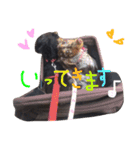ベリーとチップの物語2（個別スタンプ：4）