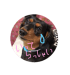 ベリーとチップの物語2（個別スタンプ：5）