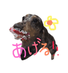 ベリーとチップの物語2（個別スタンプ：8）