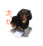 ベリーとチップの物語2（個別スタンプ：10）