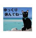 黒猫さん 冬ver.（個別スタンプ：12）