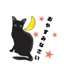 黒猫さん 冬ver.（個別スタンプ：13）