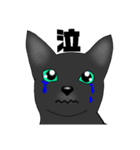 黒猫さん 冬ver.（個別スタンプ：17）