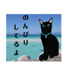 黒猫さん 冬ver.（個別スタンプ：21）